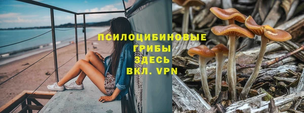 кокс Семилуки